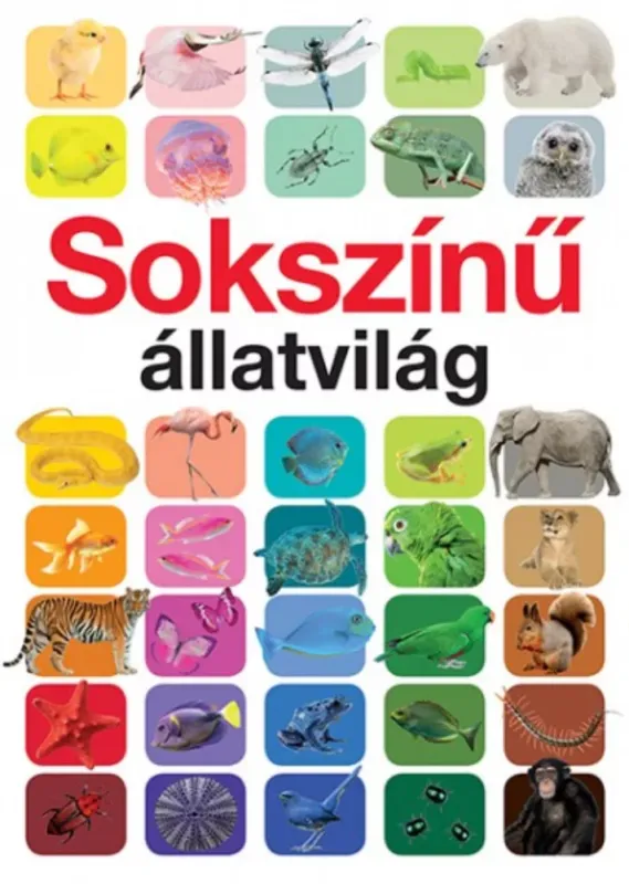 Kedvezményes ár Sokszínű állatvilág