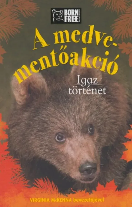 Kedvezmény A medve-mentőakció - Igaz történet