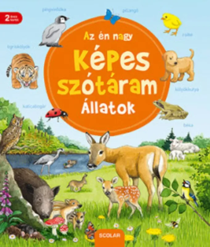 Az én nagy képes szótáram - Állatok - Susanne Gernhäuser Legjobb ár