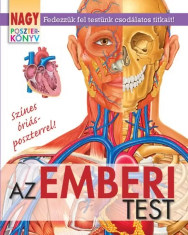 Alacsony ár Nagy poszterkönyv - Az emberi test (Winter Angéla)