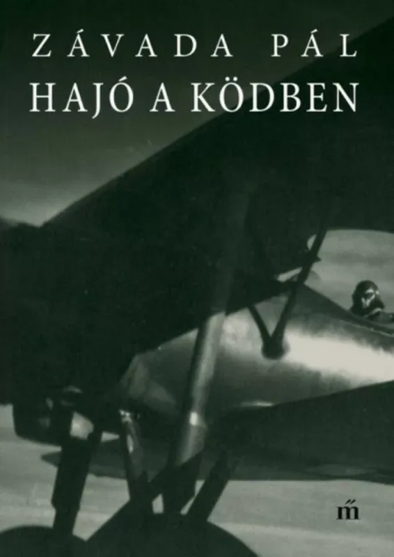 Nézd meg most Hajó a ködben - Závada Pál