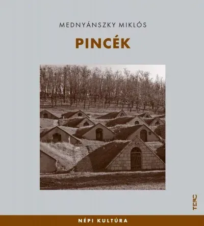 Rendeld meg most Pincék - Mednyánszky Miklós