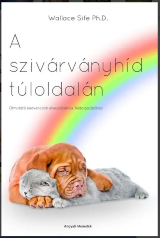 Népszerű A szivárványhíd túloldalán - Wallace Sife