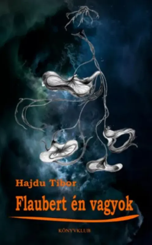 Nézd meg most Flaubert én vagyok - Hajdu Tibor