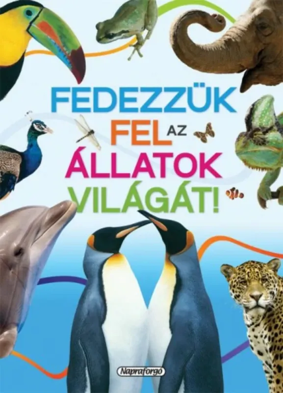 Szezonális akció Fedezzük fel az állatok világát!