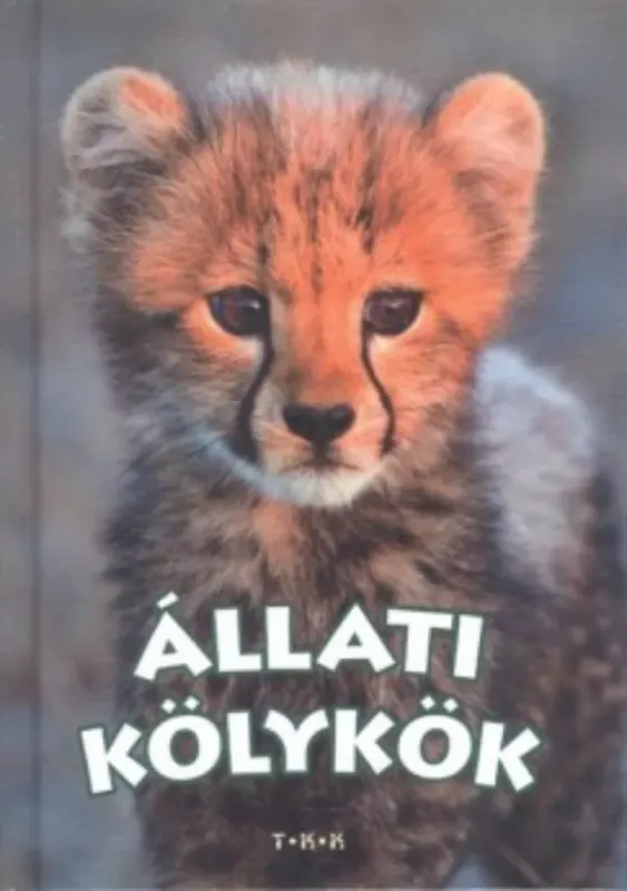 Állati kölykök Ajánlat