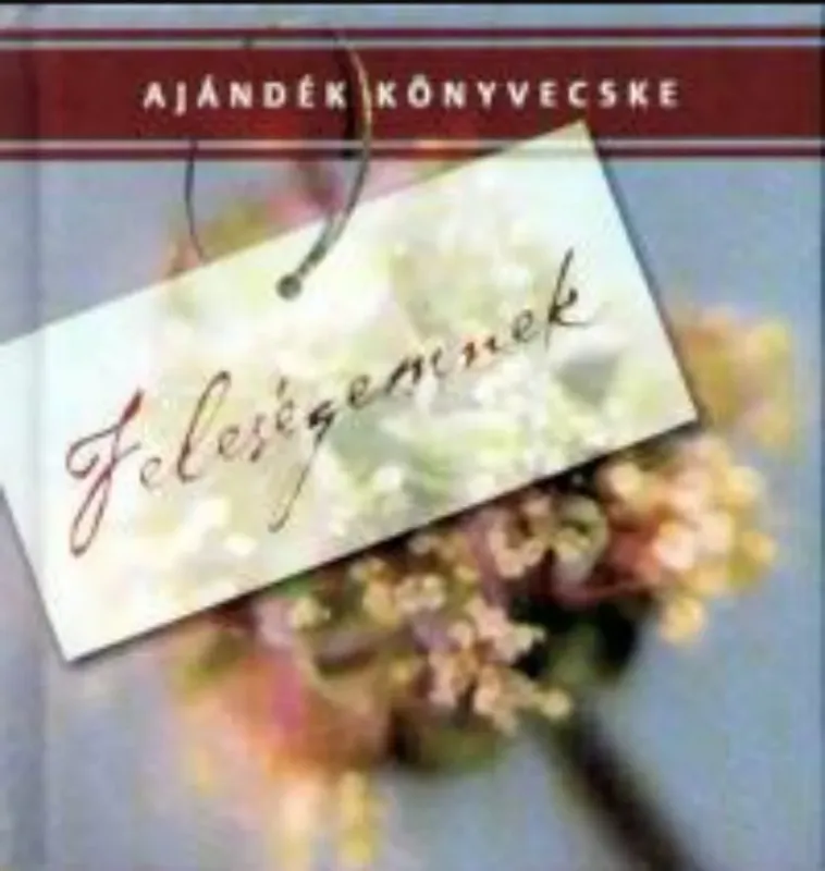 Feleségemnek - Balogh József Legjobb ár