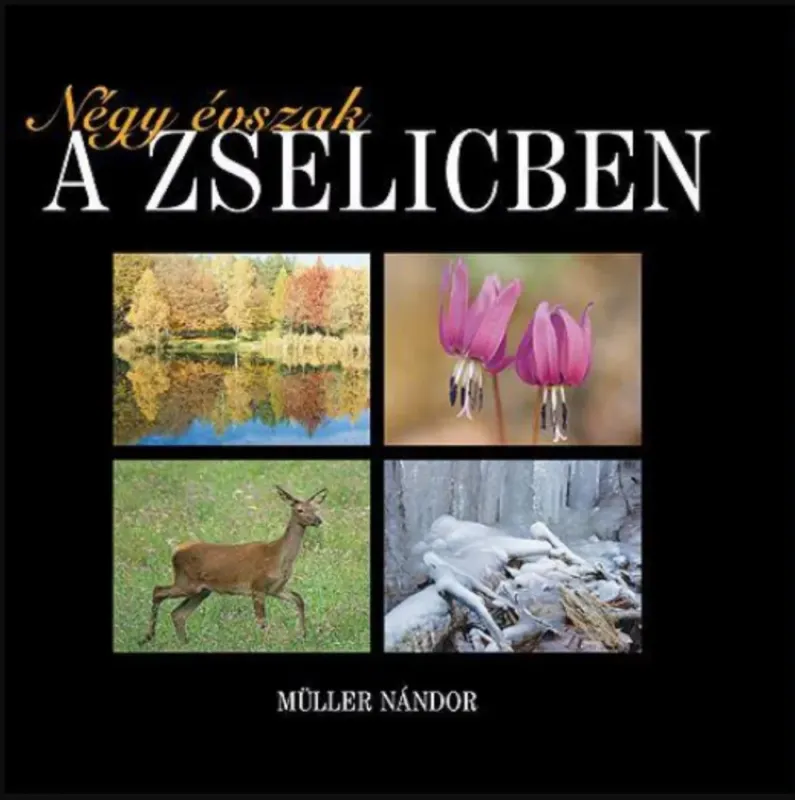 Négy évszak a zselicben-Müller Nándor Gyors kiszállítás