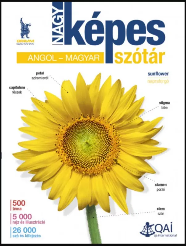 Nagy képes angol-magyar szótár - P. Márkus Katalin Kiárusítás
