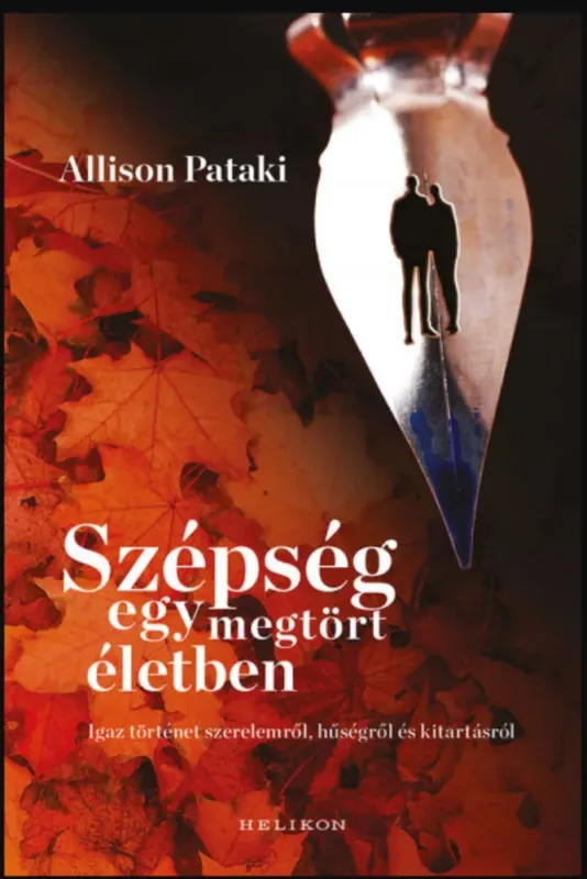 Vedd meg online Szépség egy megtört életben - Allison Pataki