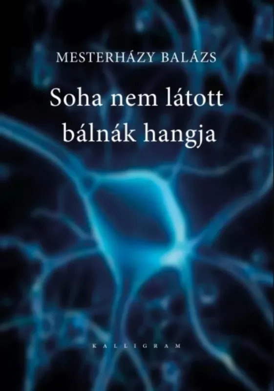 Expressz kézbesítés Soha nem látott bálnák hangja - Mesterházy Balázs