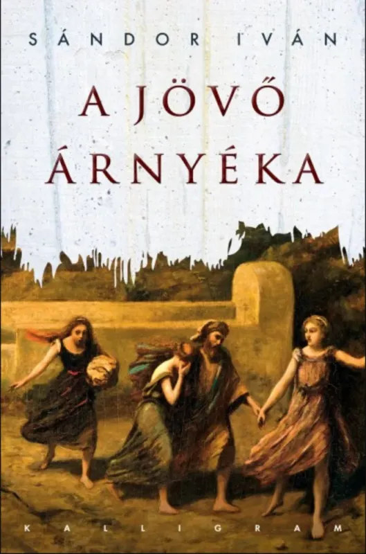 Végkiárusítás A jövő árnyéka - Sándor Iván