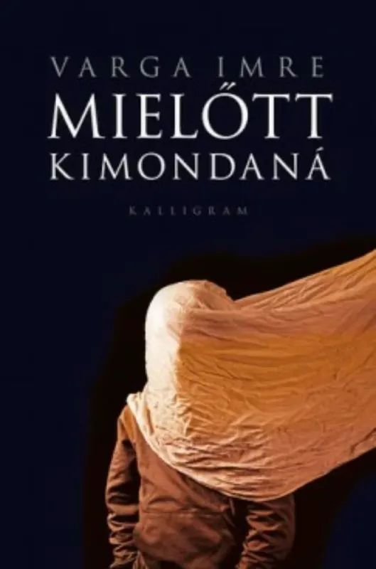 Azonnal elérhető Mielőtt kimondaná - Varga Imre