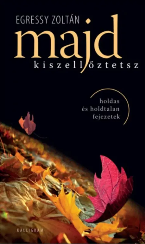 Kedvezményes ár Majd kiszellőztetsz - Holdas és holdtalan fejezetek - Egressy Zoltán