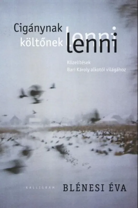 Cigánynak lenni, költőnek lenni - Közelítések Bari Károly költészetéhez - Blénesi Éva Legjobb ár