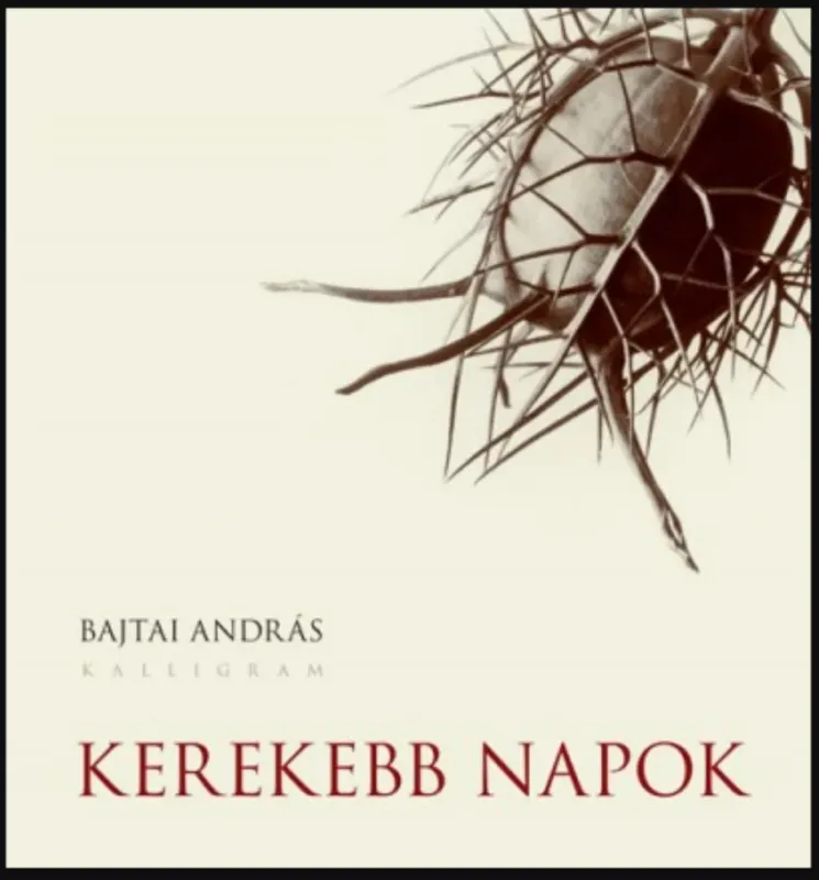 Végkiárusítás Kerekebb napok - Bajtai András