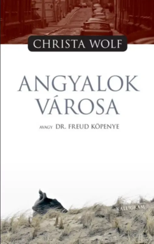Angyalok városa avagy Dr. Freud köpenye - Christa Wolf Árcsökkenés