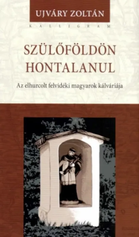 Szülőföldön hontalanul - Ujváry Zoltán Kedvezményes ár