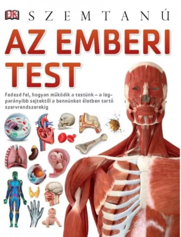 Az emberi test Expressz szállítás