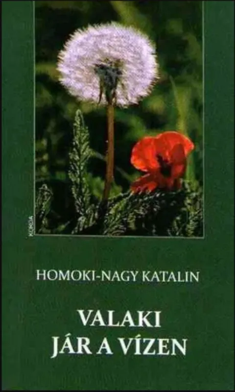 Valaki jár a vízen - Homoki Nagy Katalin Újdonság