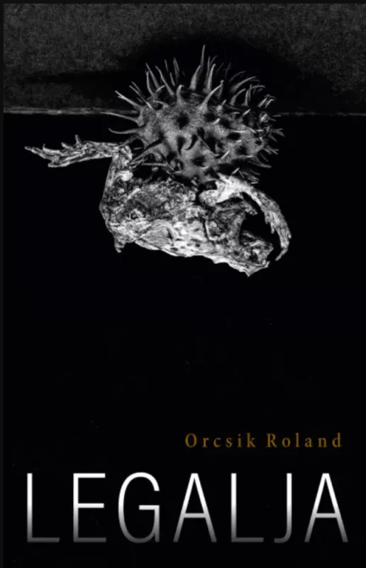 Legalja - Orcsik Roland Ne maradj le