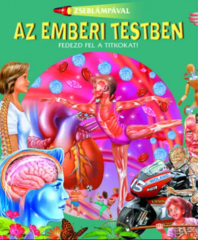 Akció Zseblámpával - Az emberi testben