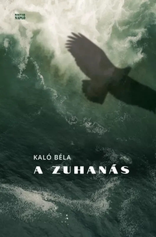 Utolsó esély A zuhanás - Minimalista lányregény - Kaló Béla