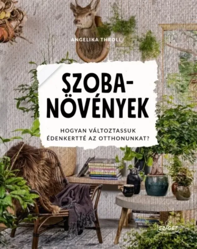 Szezonális akció Szobanövények - Angelika Throll