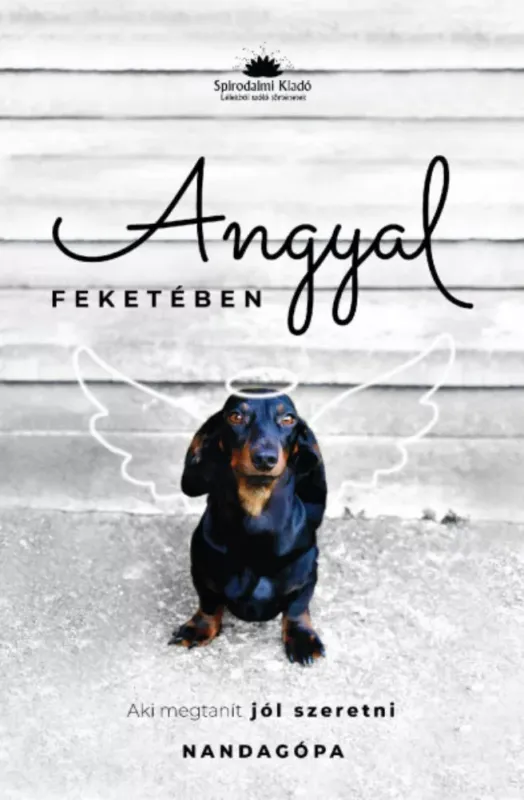 Angyal feketében - Aki megtanít jól szeretni - dr. Schönek Zoltán István Árengedmény