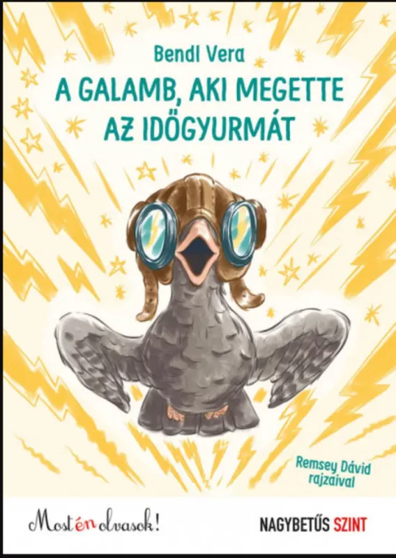 A galamb, aki megette az időgyurmát - Bendl Vera Gyors szállítás