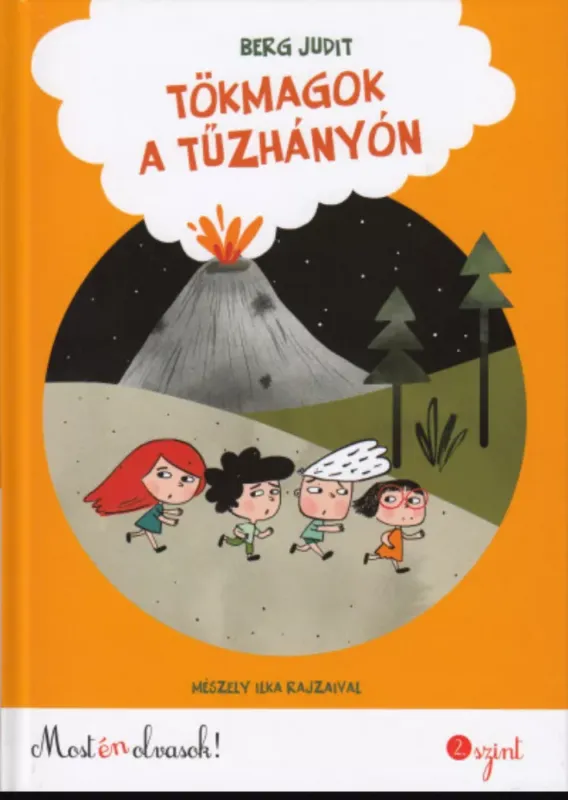 Olcsó Tökmagok a tűzhányón - Berg Judit