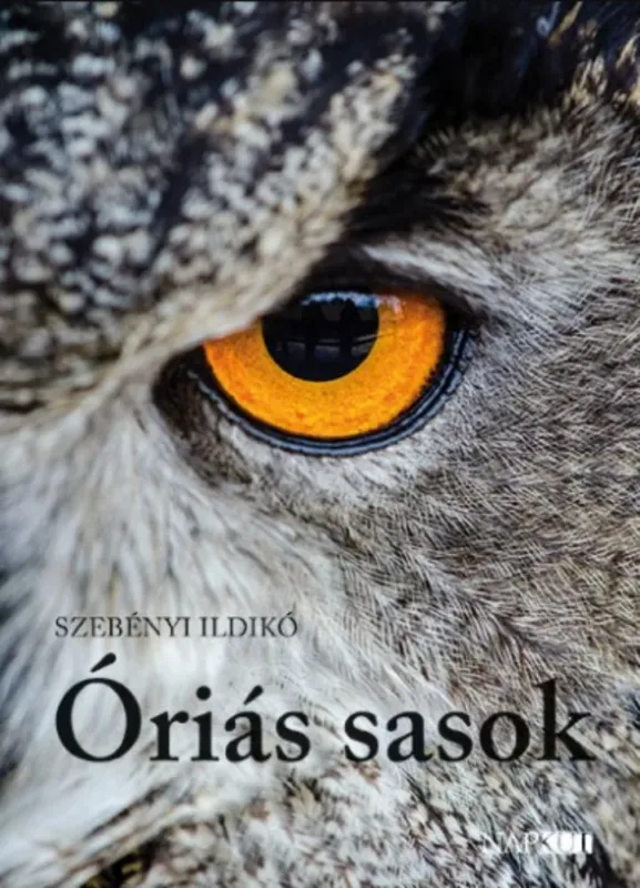 Rendeld meg most Óriás sasok - Szebényi Ildikó