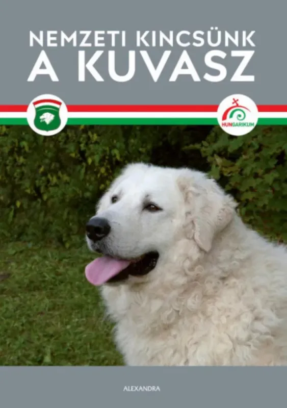 Nemzeti kincsünk, a kuvasz Gyors kiszállítás