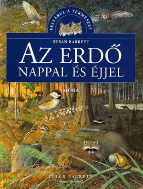 Olcsó Az erdő nappal és éjjel - Susan Barrett