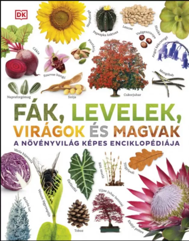 Alacsony ár Fák, levelek, virágok és magvak - dr. Chris Clennett - dr. Sarah Jose