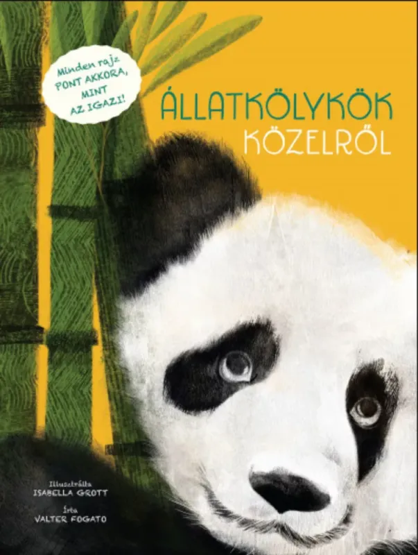 Állatkölykök közelről - Valter Fogato - Isabella Grott Bestseller
