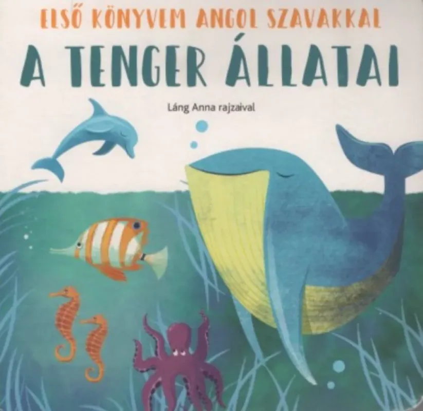 Alacsony ár A tenger állatai - Első könyvem angol szavakkal