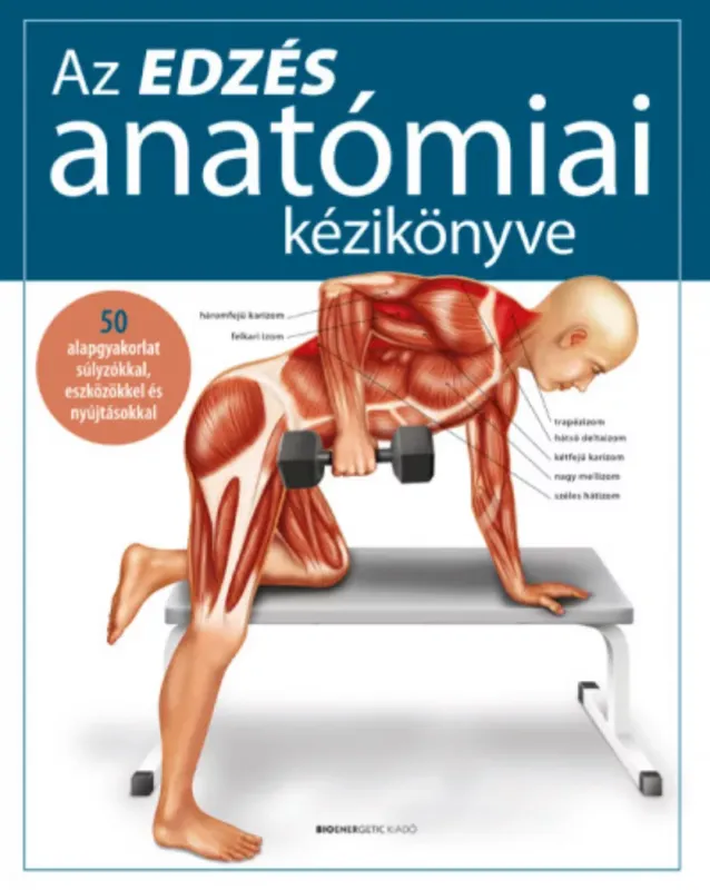 Az edzés anatómiai kézikönyve - 50 alapgyakorlat súlyzókkal, eszközökkel és nyújtásokkal Utolsó esély