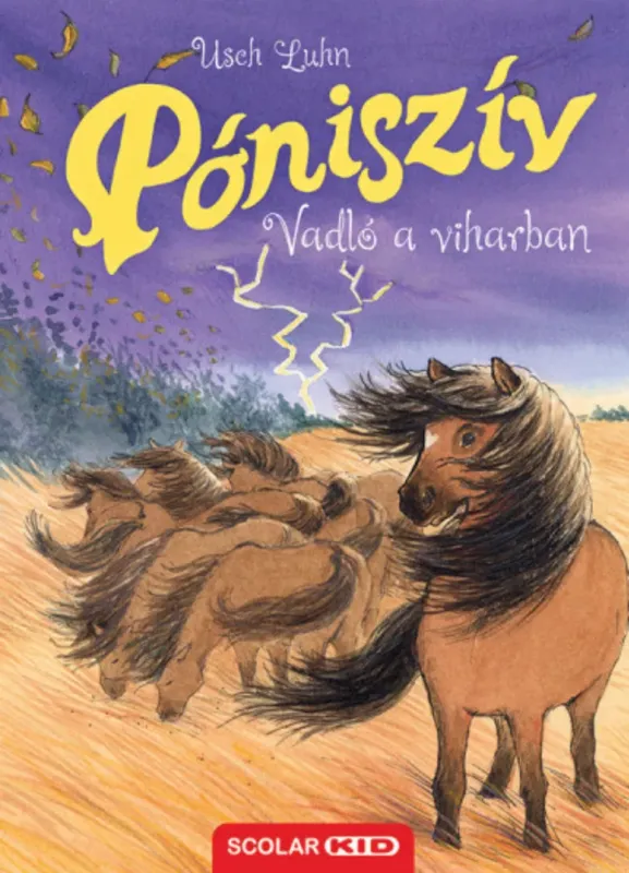 Végkiárusítás Póniszív - Vadló a viharban - Usch Luhn