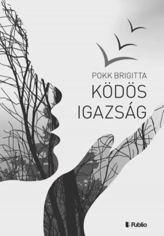 Ködös igazság - Pokk Brigitta Végkiárusítás