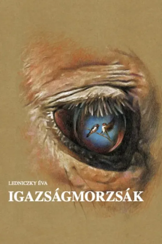 Árcsökkenés Igazságmorzsák - Ledniczky Éva
