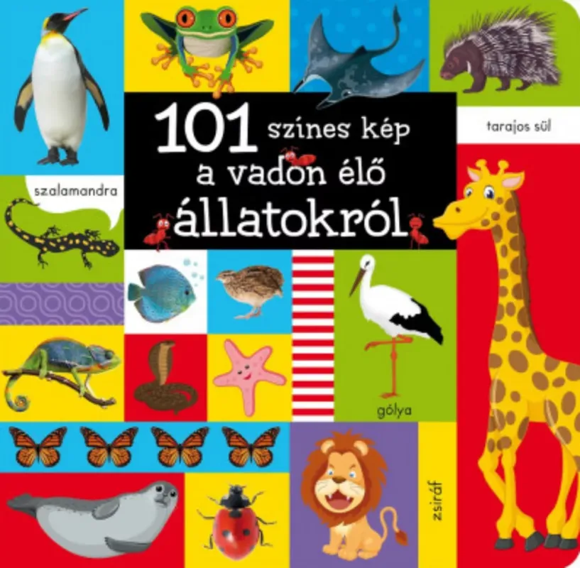 101 színes kép a vadon élő állatokról Legkelendőbb