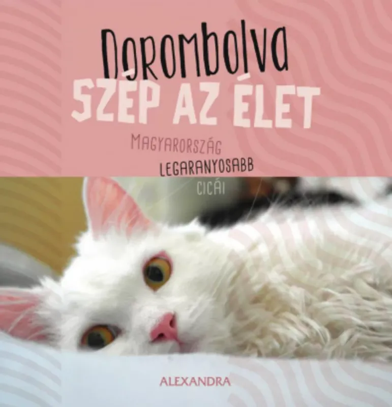 Csak ma Dorombolva szép az élet