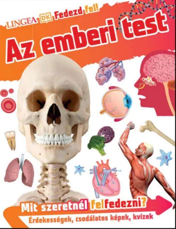 Fedezd fel! - Az emberi test - Dr. Bipasha Choudhury Kiárusítás