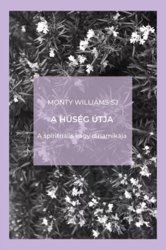 Outlet A hűség útja - Monty Williams SJ
