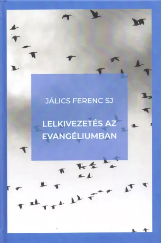 Lelkivezetés az evangéliumban - Jálics Ferenc SJ Utolsó esély