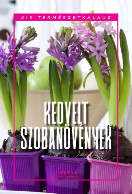 Kedvezmény Kedvelt szobanövények - Bernáth István