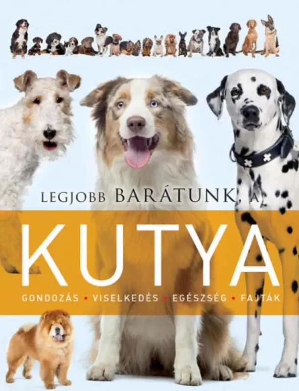 Legjobb barátunk, a kutya Szezonális akció