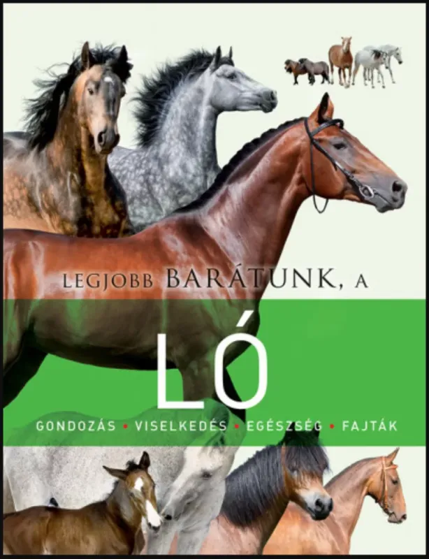 Olcsó Legjobb barátunk, a ló - Miguel Ángel San Andrés