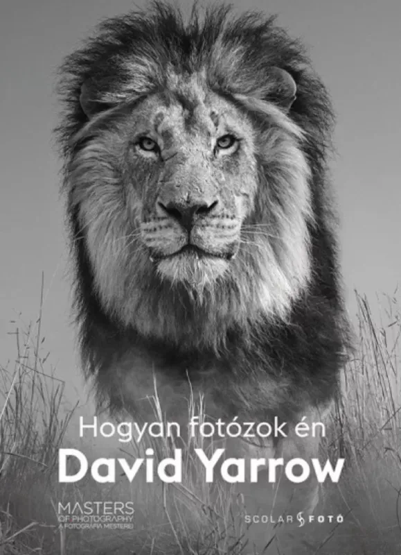 Legkelendőbb Hogyan fotózok én - David Yarrow